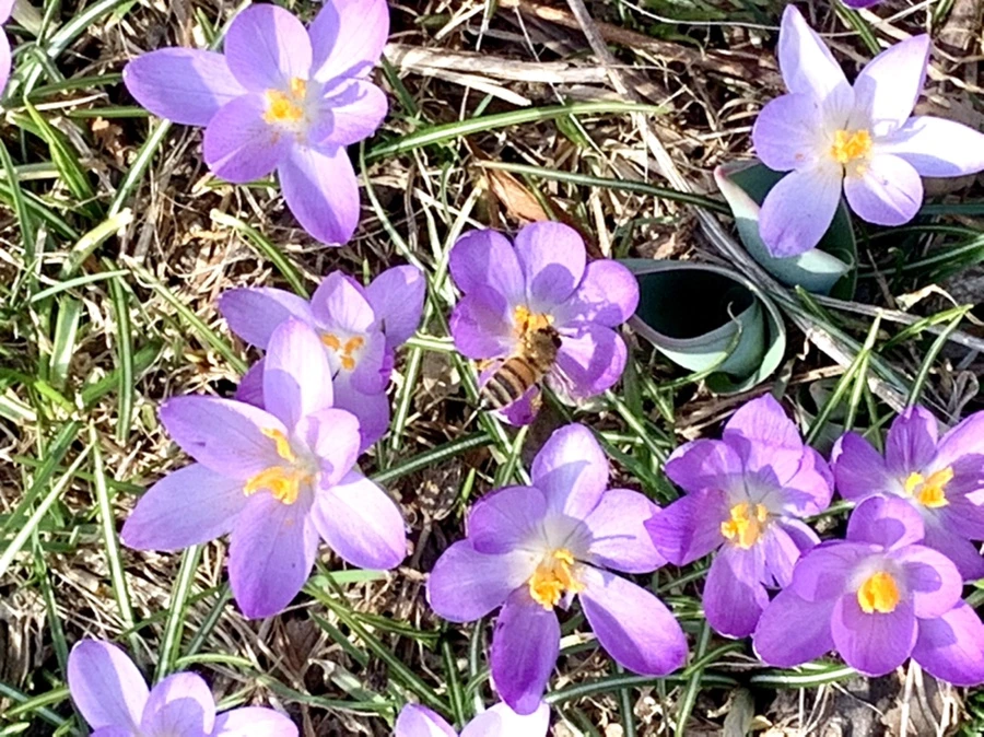 IMG_0231.jpg?type=w966