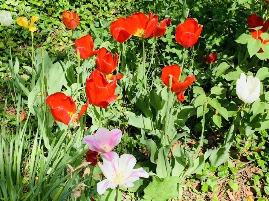 IMG_6885.jpg?type=w966