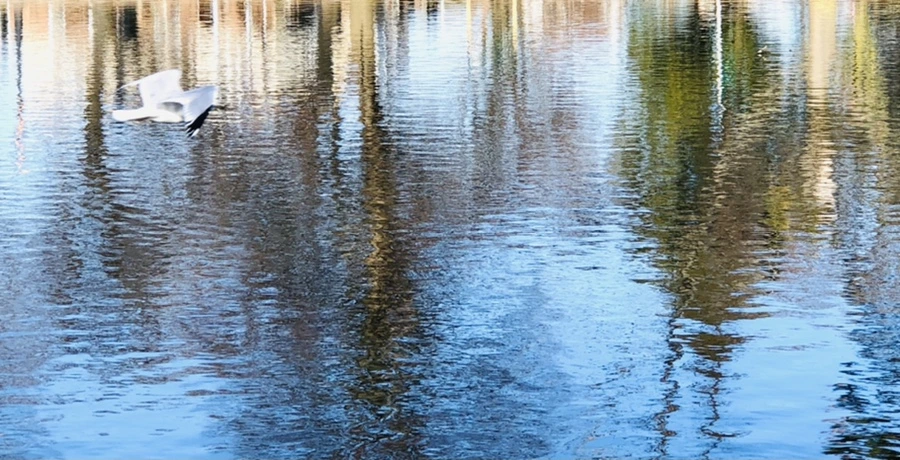 IMG_9770.jpg?type=w966