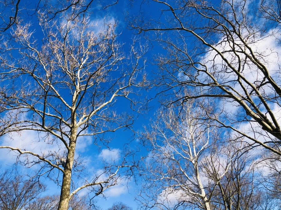 IMG_7559.jpg?type=w966