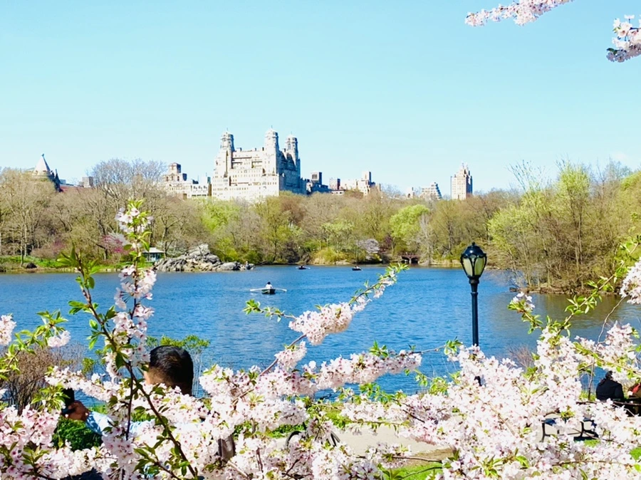 IMG_1840.jpg?type=w966