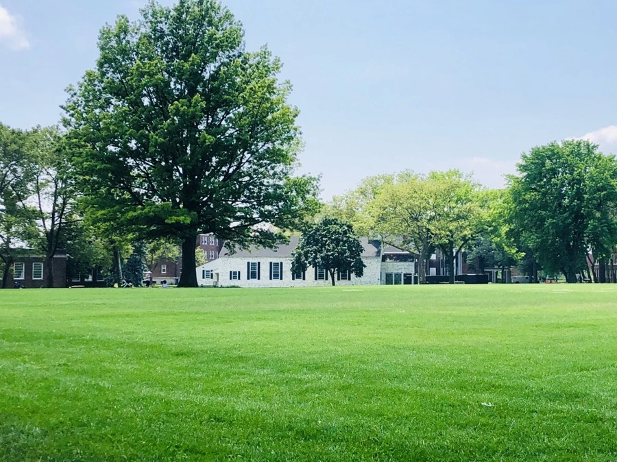 IMG_7204.jpg?type=w966