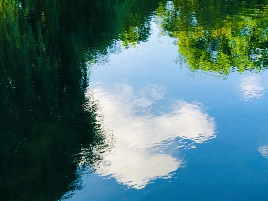 IMG_2894.jpg?type=w966