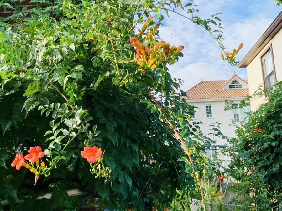 r7VCyDid6fVFkfhgORUgJKt8tjE