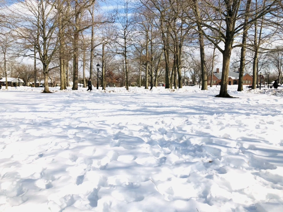 IMG_0101.jpg?type=w966