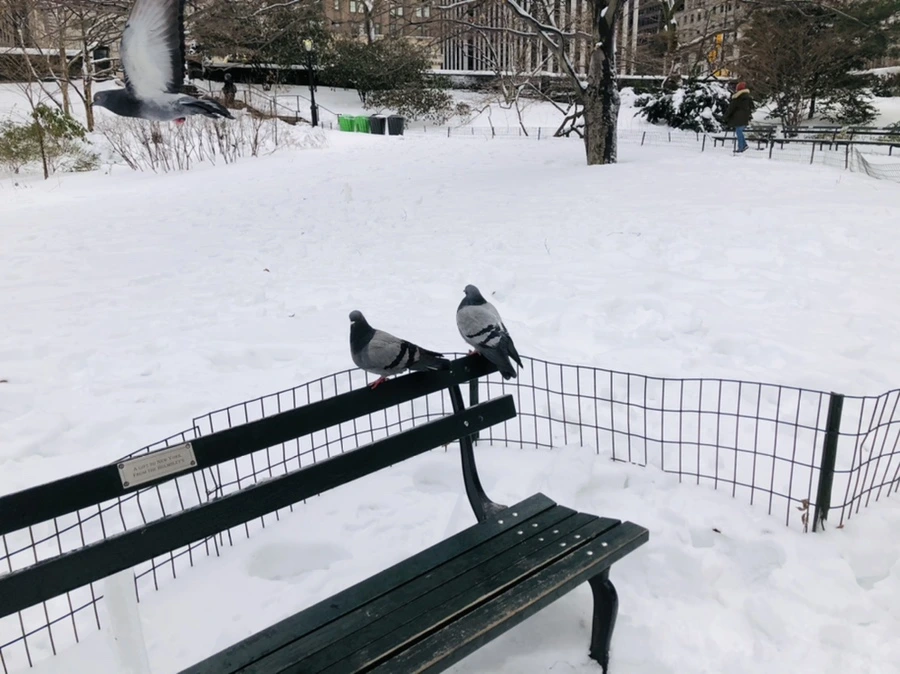 IMG_9120.jpg?type=w966