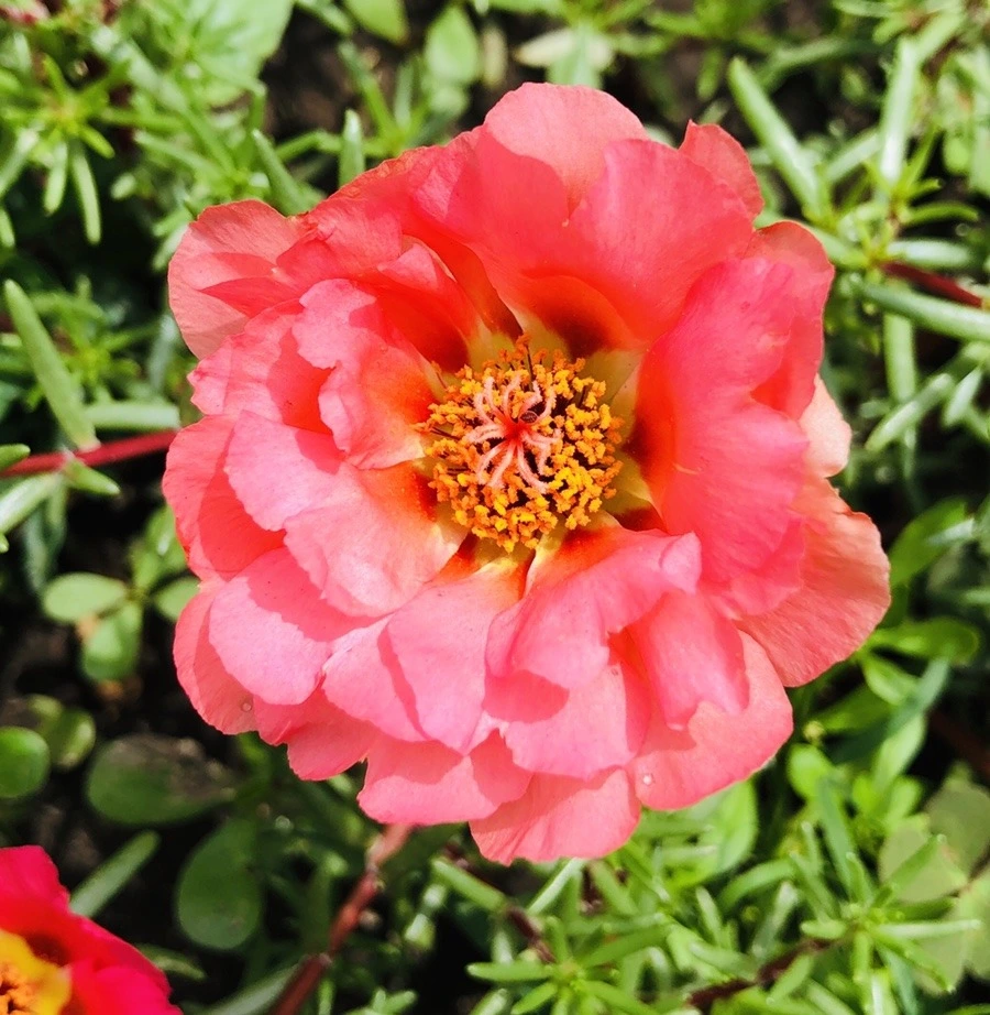 I7Lay3pVnjb8qXRE7sZwSW6afZw