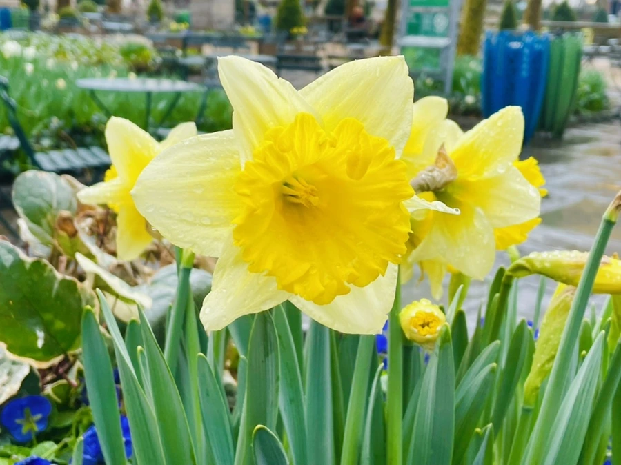 IMG_8679.jpg?type=w966