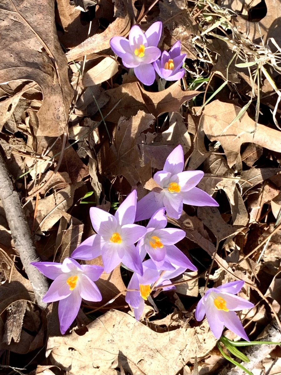 IMG_9628.jpg?type=w966