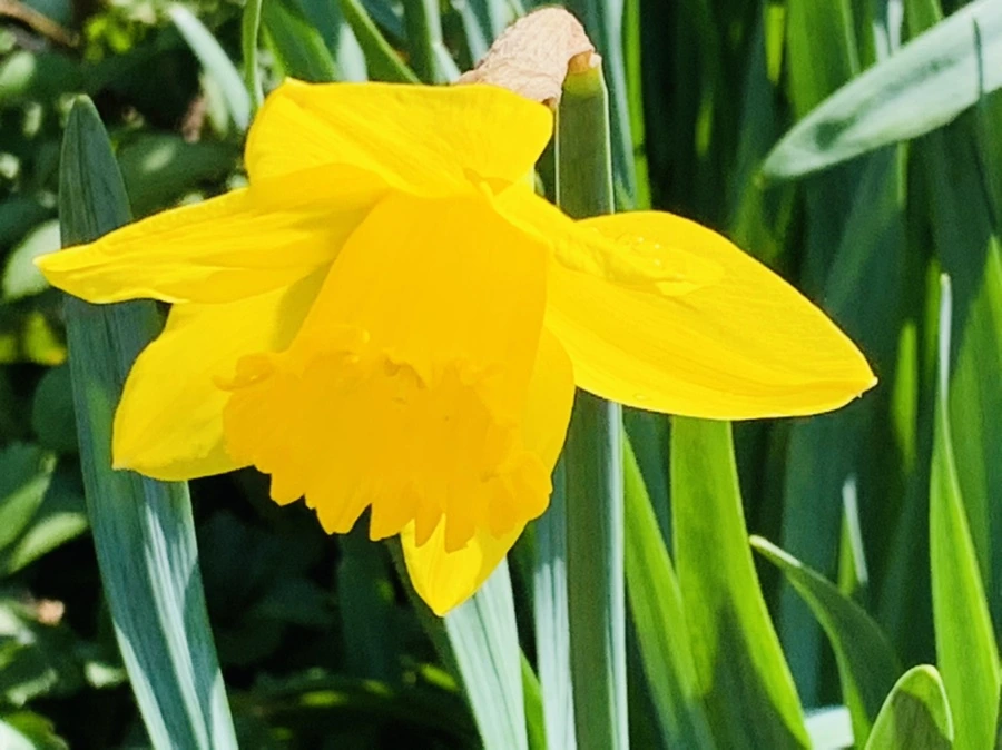 IMG_4329.jpg?type=w966