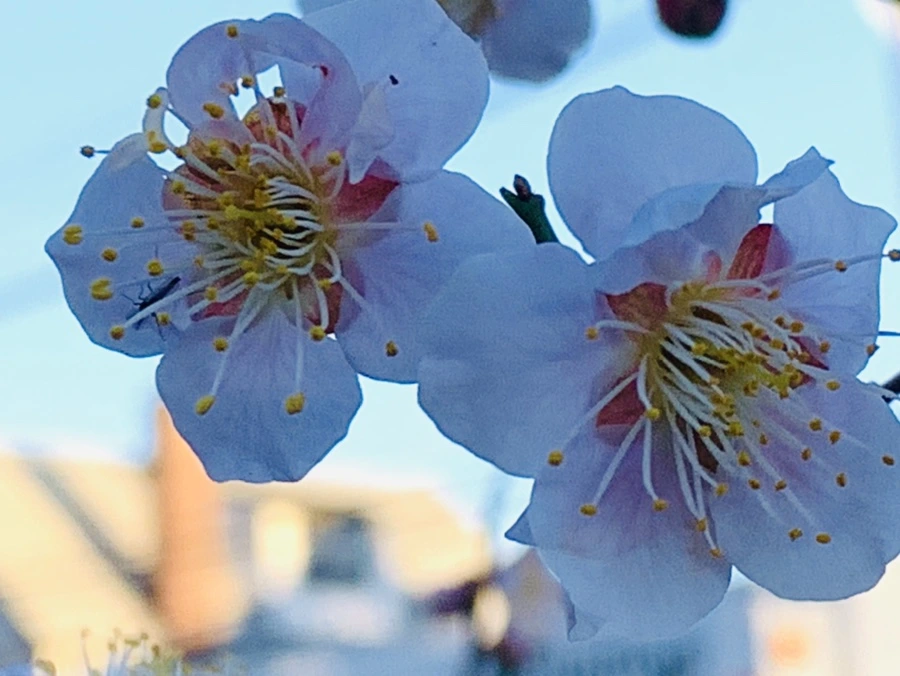 IMG_0845.jpg?type=w966