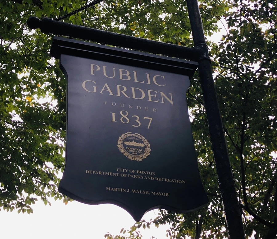 IMG_0527.jpg?type=w966