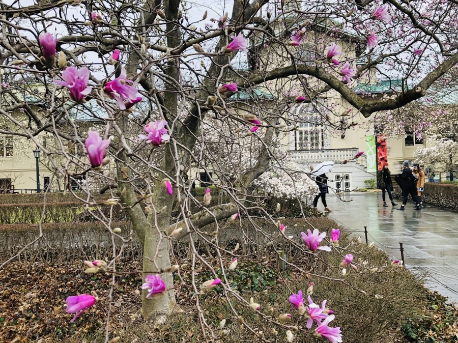 IMG_2387.jpg?type=w966