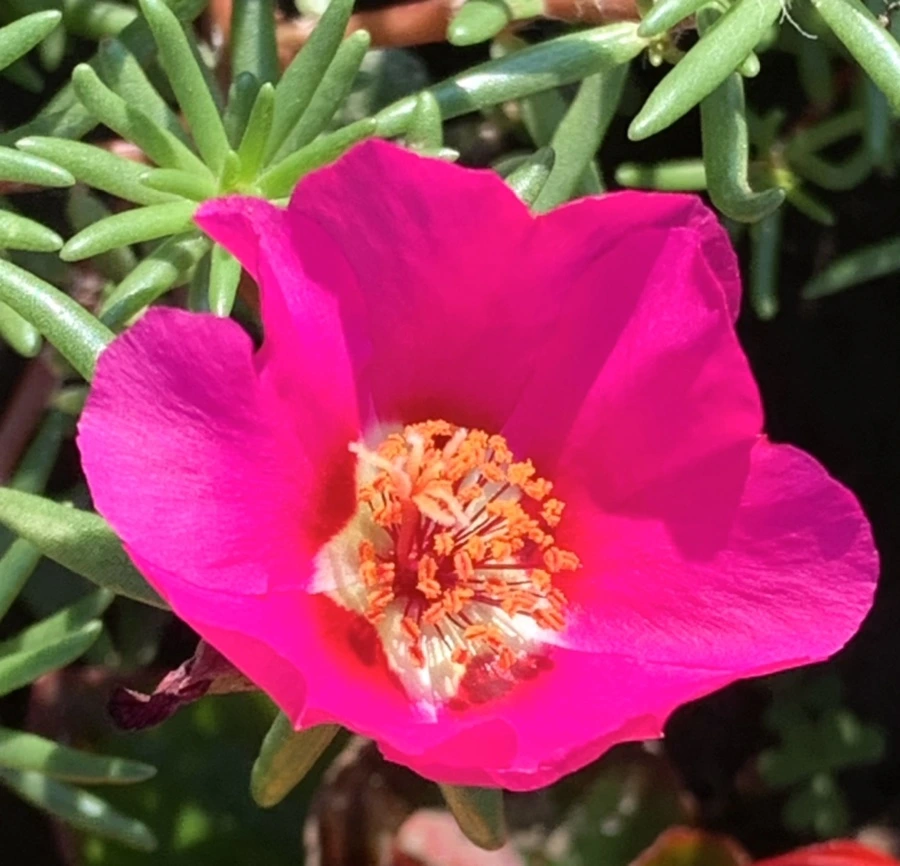 IMG_8376.jpg?type=w966