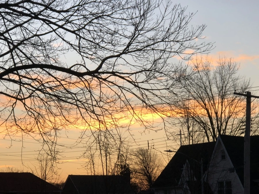 IMG_4623.jpg?type=w966