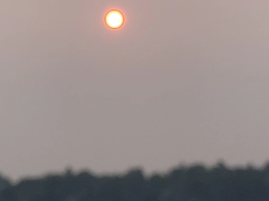 IMG_8059.jpg?type=w966