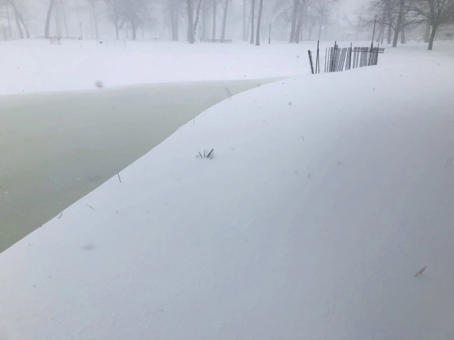 IMG_8828.jpg?type=w966