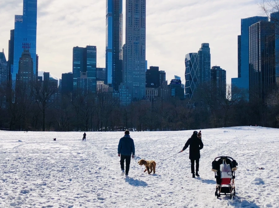 IMG_0551.jpg?type=w966