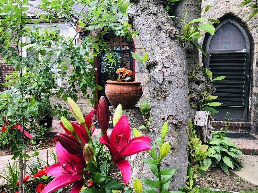 IMG_9520.jpg?type=w966