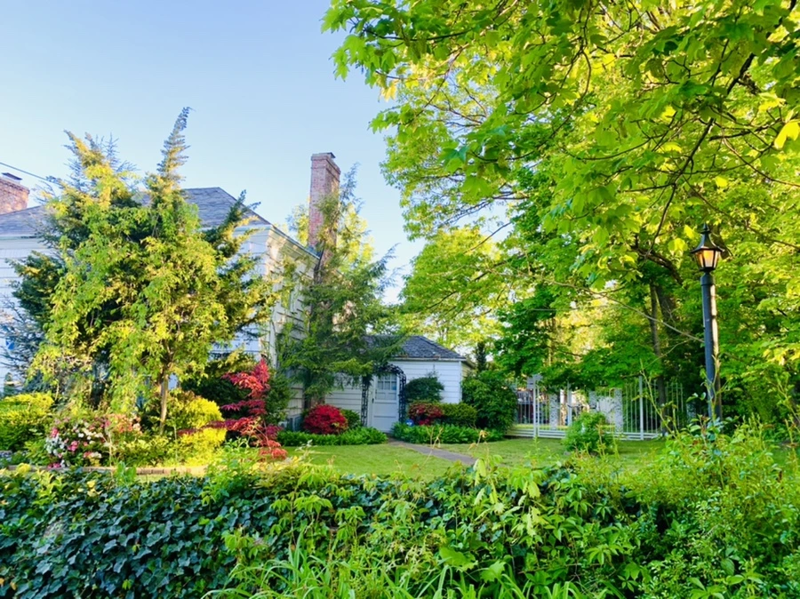 IMG_1906.jpg?type=w966