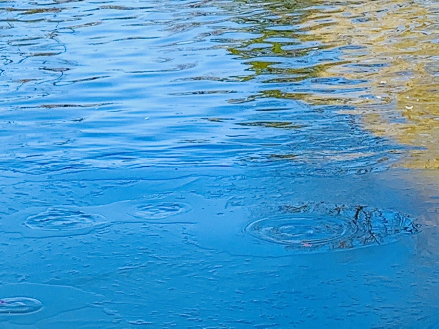 IMG_9066.jpg?type=w966