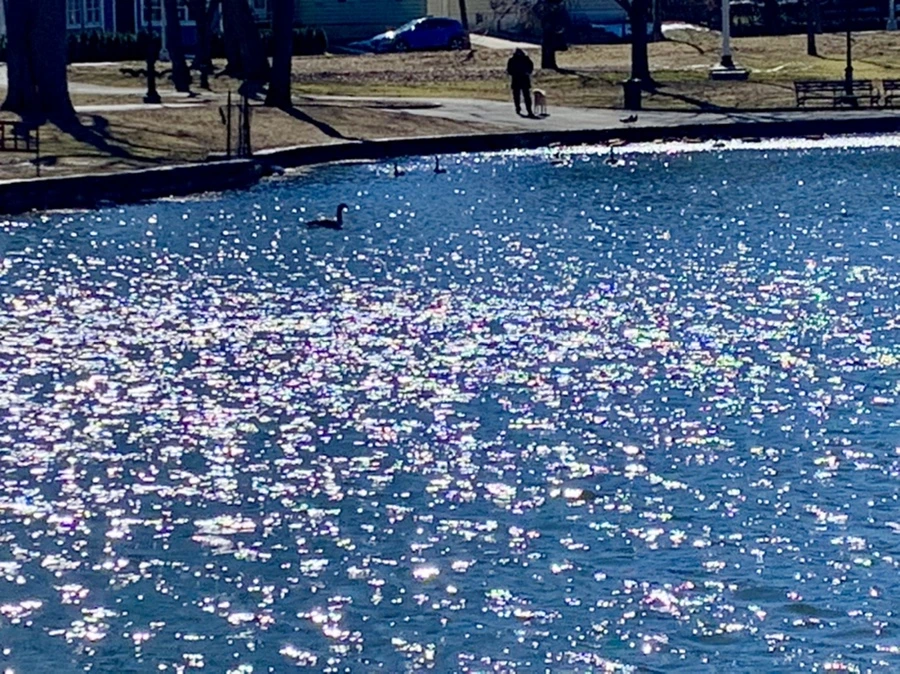 IMG_7581.jpg?type=w966