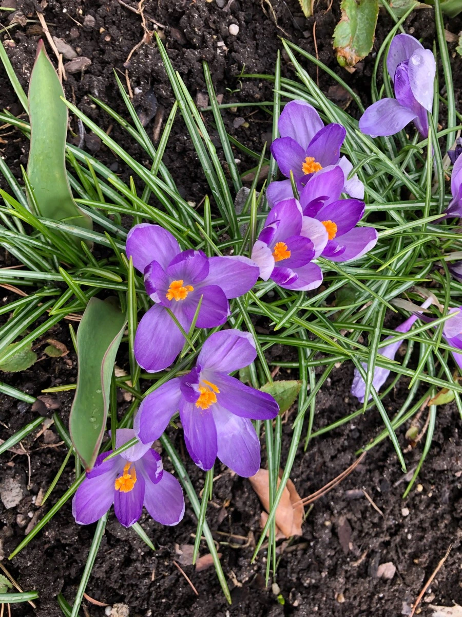 IMG_3839.jpg?type=w966