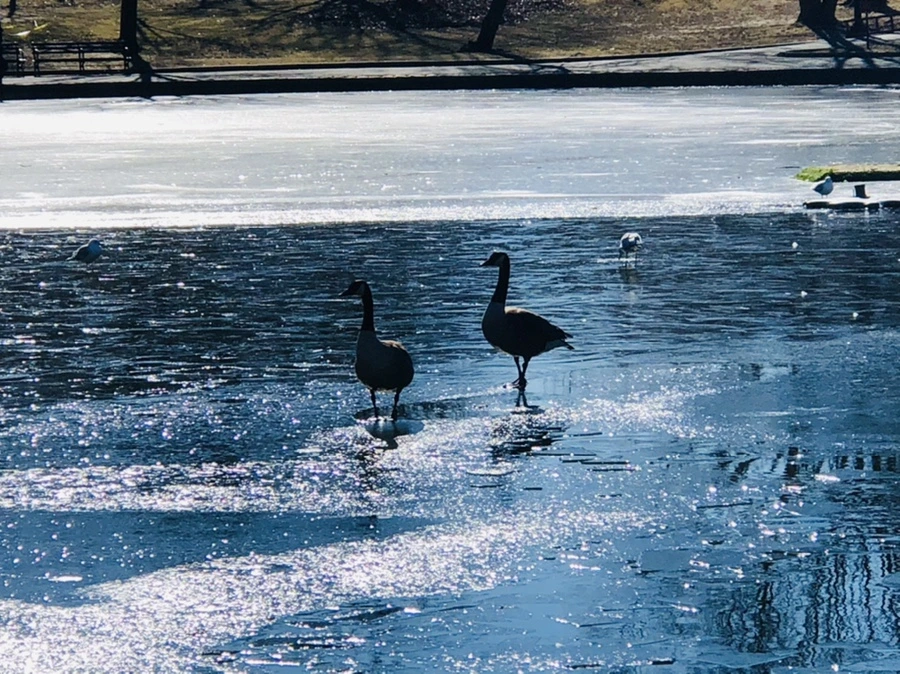 IMG_7951.jpg?type=w966