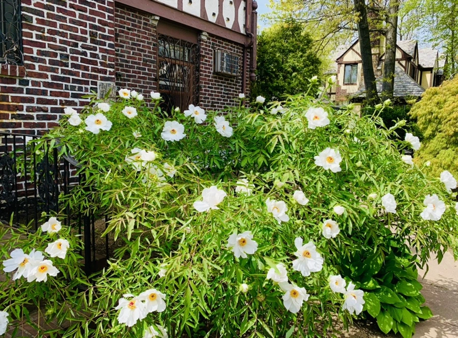 IMG_6821.jpg?type=w966