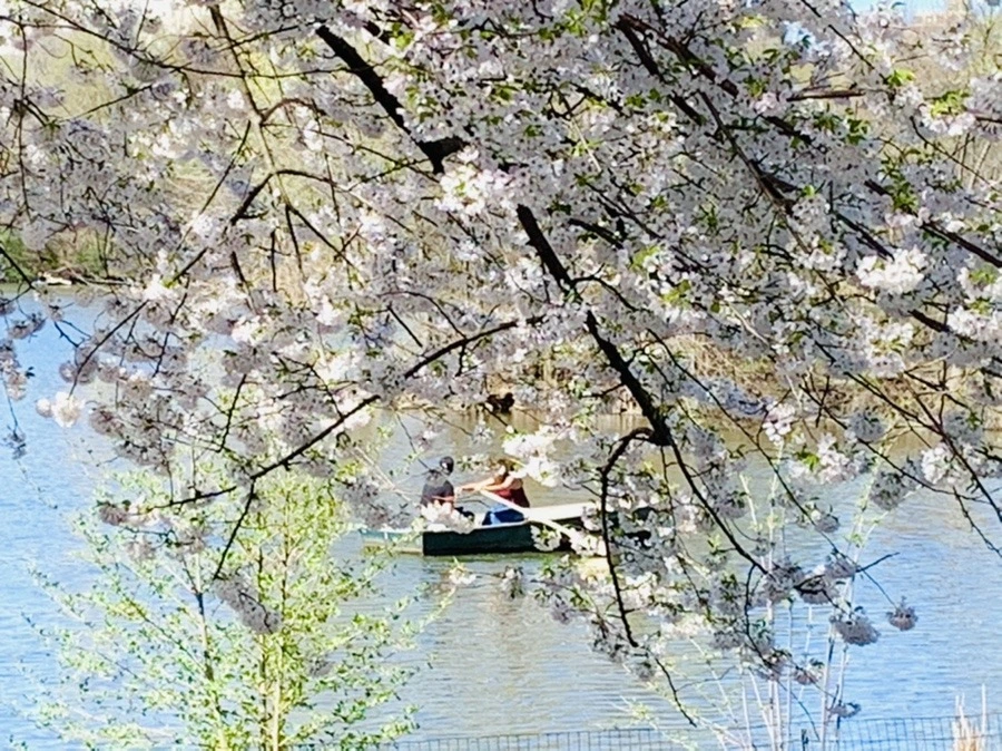 UZ9fKjaJIwmL8GJq_wHoxo0GtrE