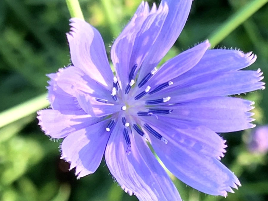 IMG_6536.jpg?type=w966