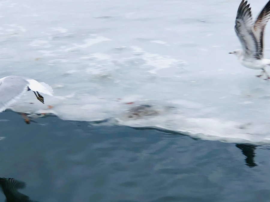 IMG_6277.jpg?type=w966