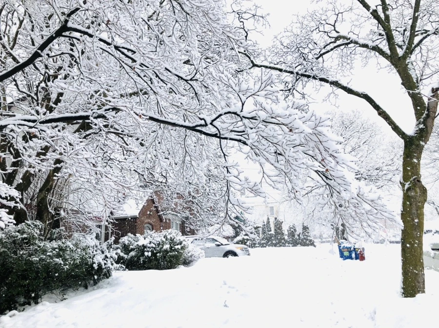 IMG_0971.jpg?type=w966