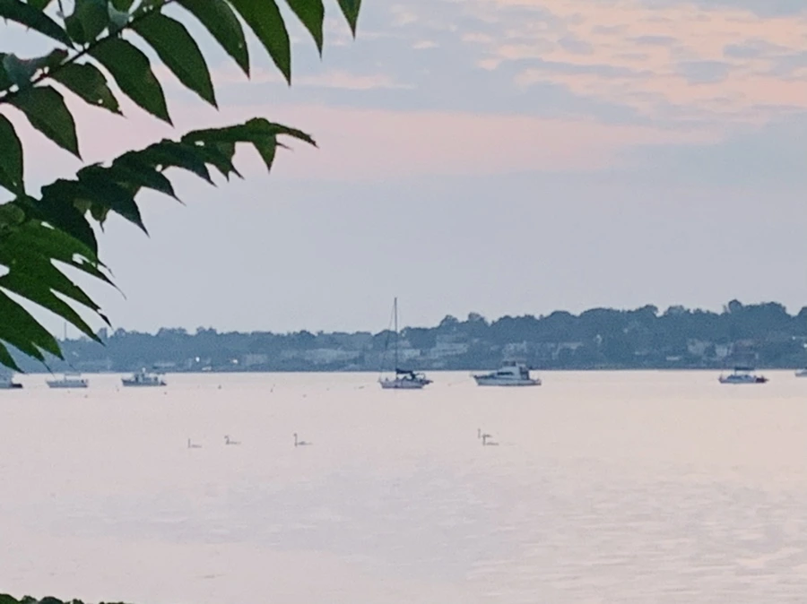 IMG_2287.jpg?type=w966