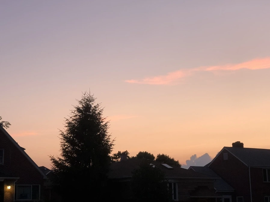 IMG_0084.jpg?type=w966