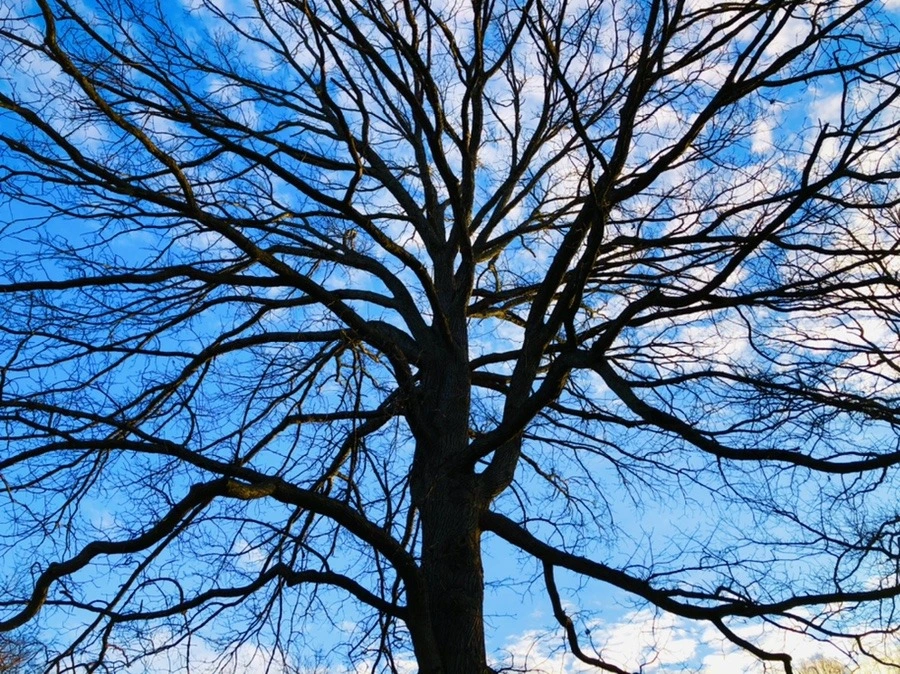 Fg3kdBy6CBchY8UjE_rZbYTP0a4