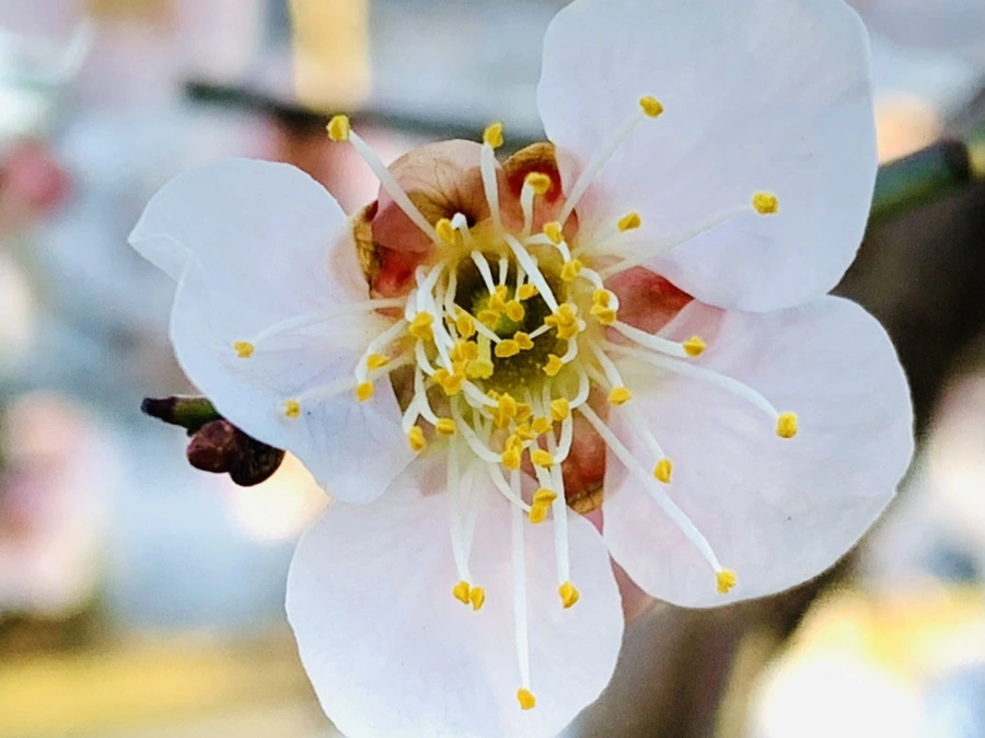 IMG_0762.jpg?type=w966