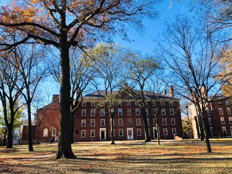 8xqiBhIahzslQk4tC6eudbqnBvY