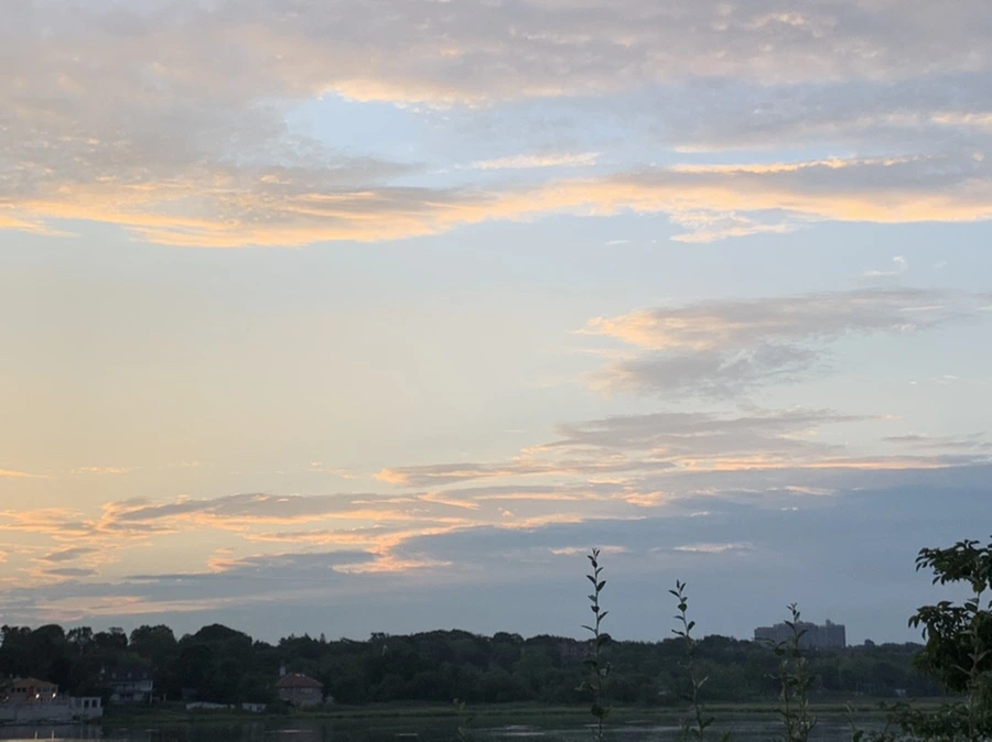 IMG_1222.jpg?type=w966