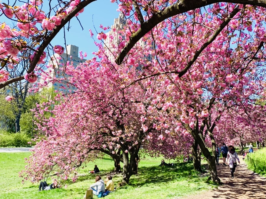 IMG_5948.jpg?type=w966