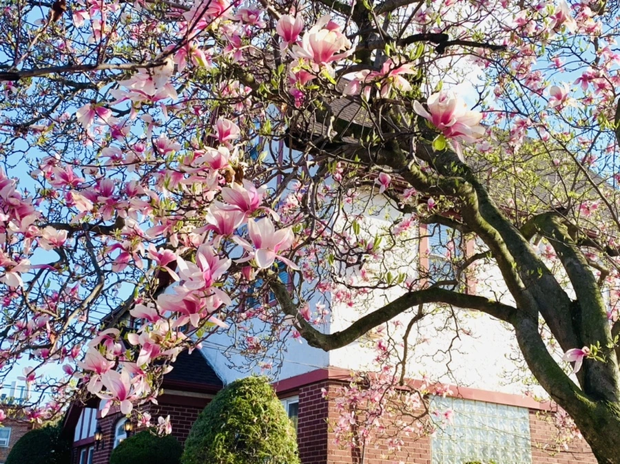 IMG_2702.jpg?type=w966