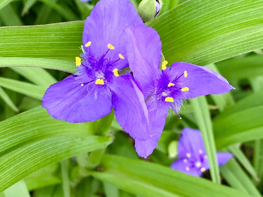 IMG_3526.jpg?type=w966