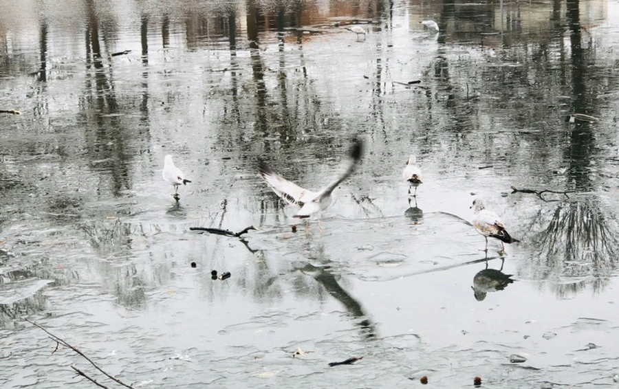 IMG_3176.jpg?type=w966