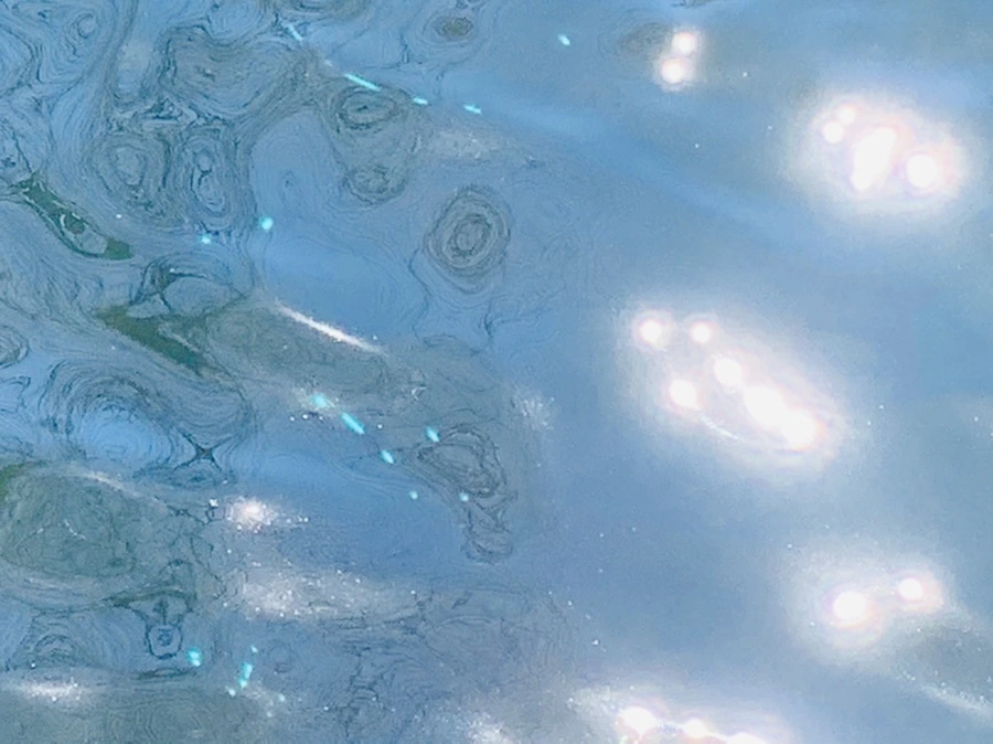 IMG_7551.jpg?type=w966