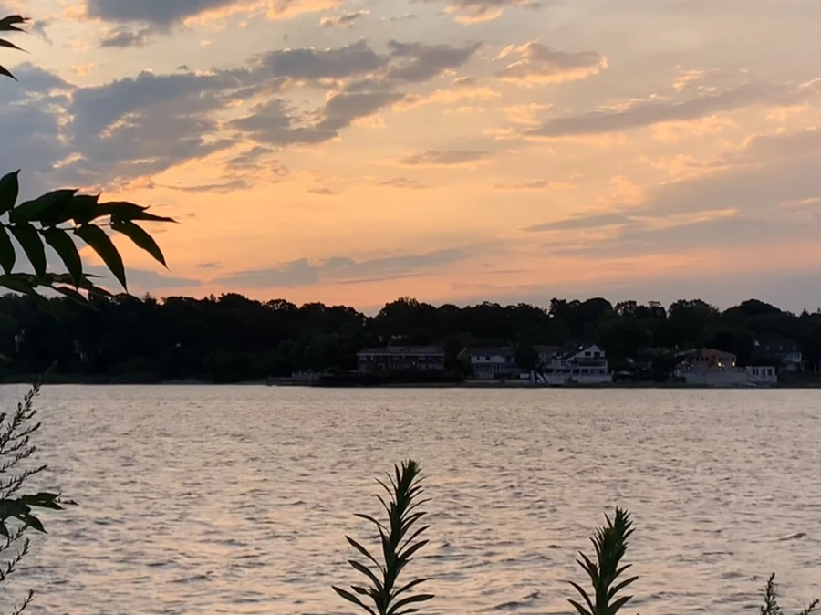 IMG_1709.jpg?type=w966