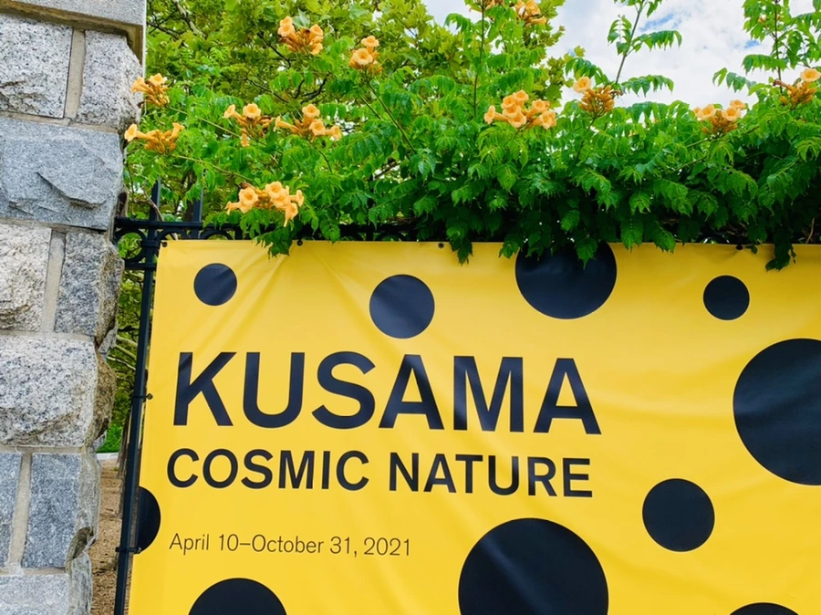 IMG_9157.jpg?type=w966