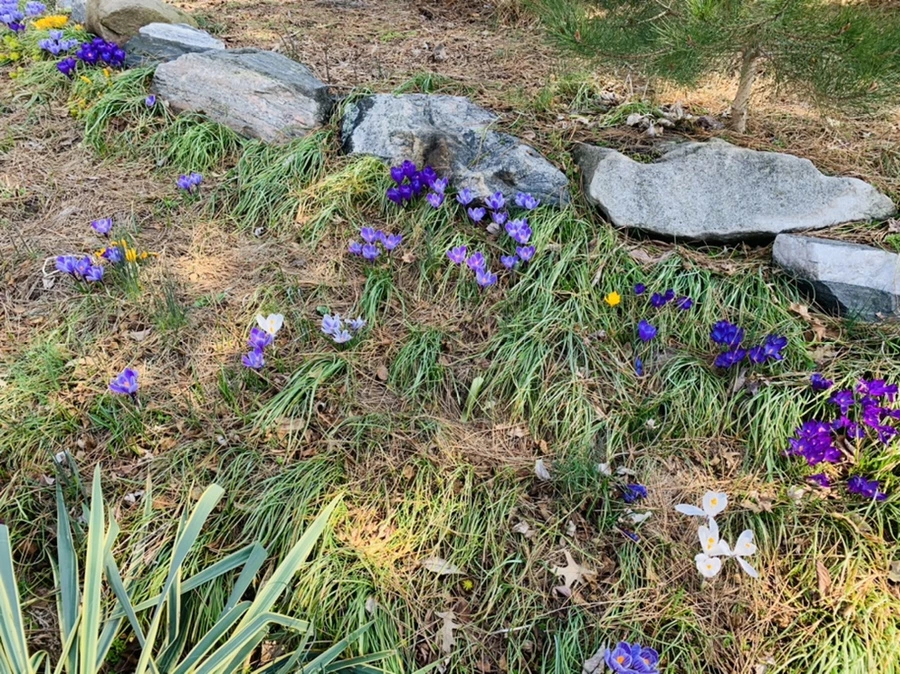 IMG_4361.jpg?type=w966