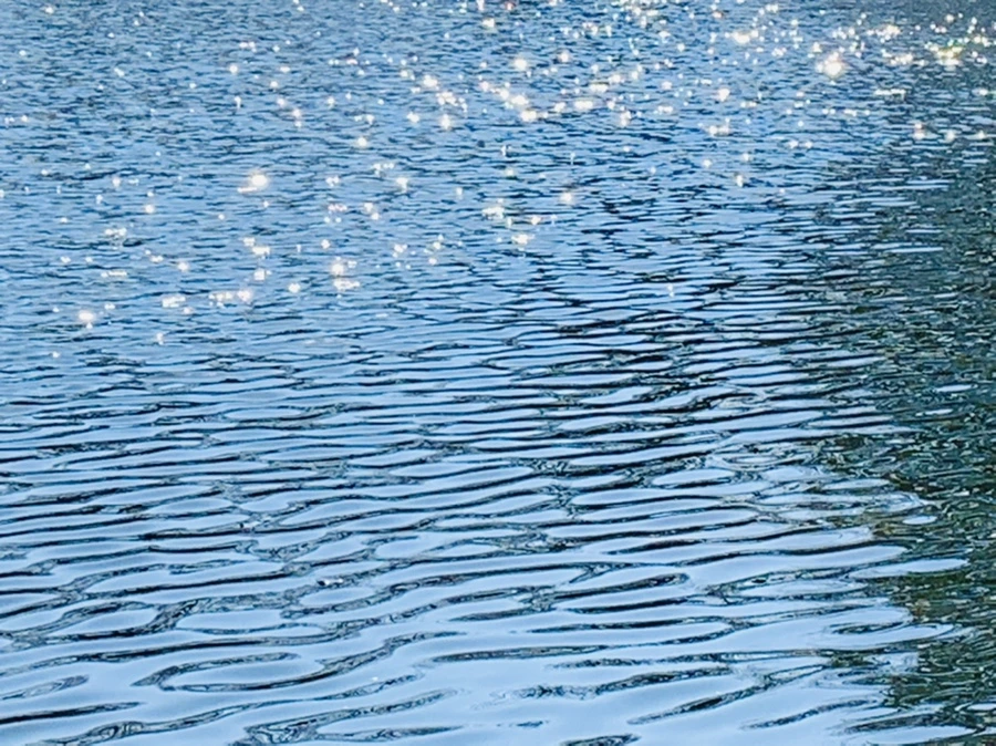 IMG_0031.jpg?type=w966