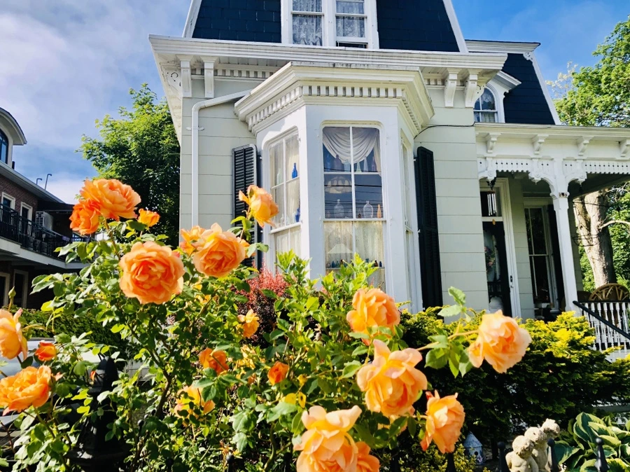 IMG_7487.jpg?type=w966