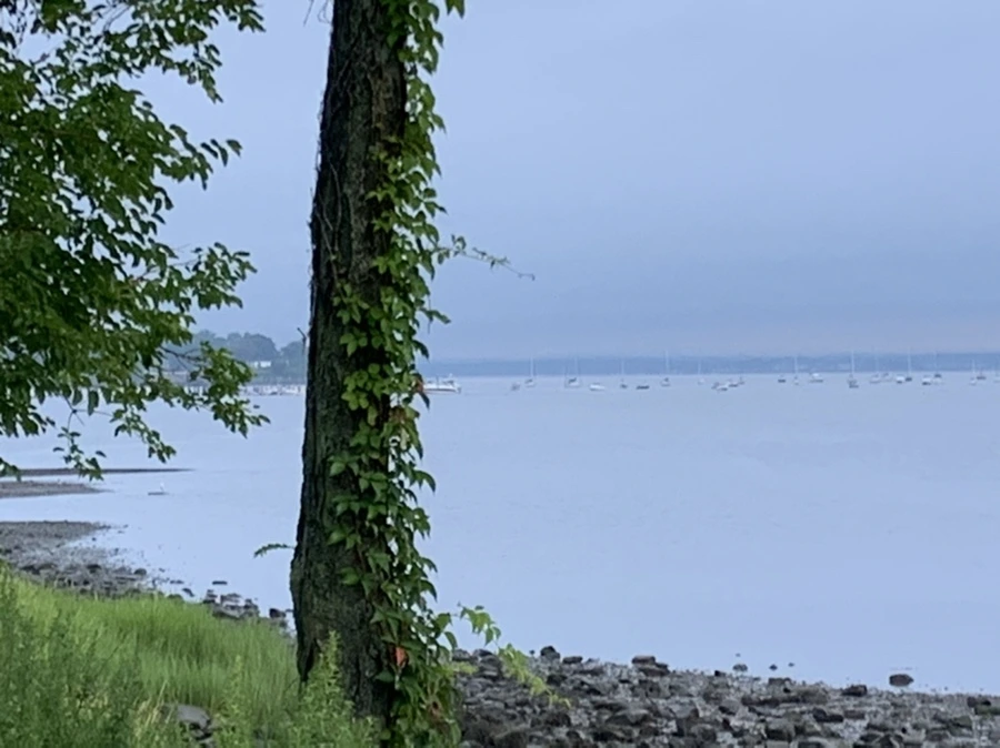 IMG_9810.jpg?type=w966